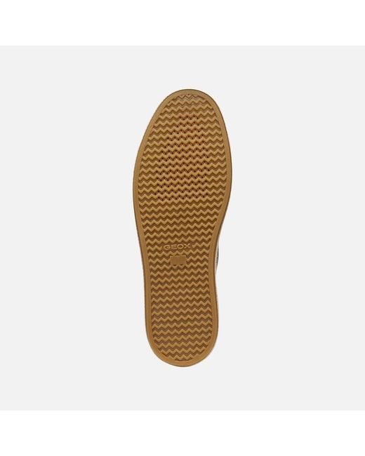 Geox Gray Pantelleria for men