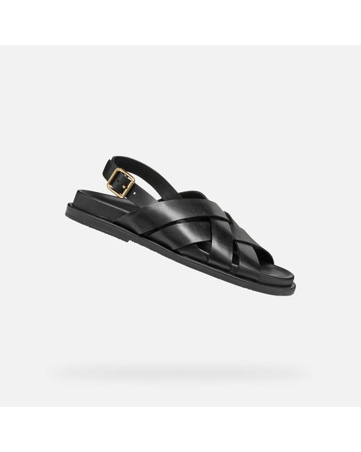Geox Black Adelash