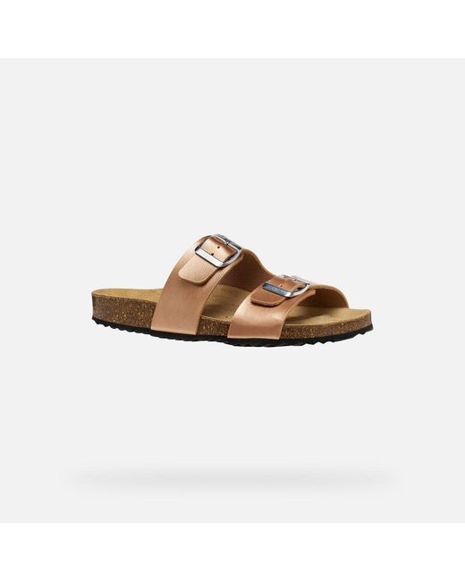 Geox Brown Brionia