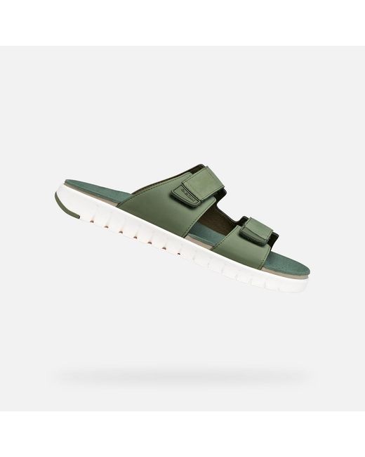 Geox Green Flextride S for men