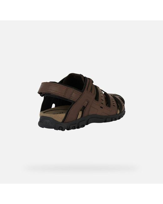 Geox Brown Strada for men