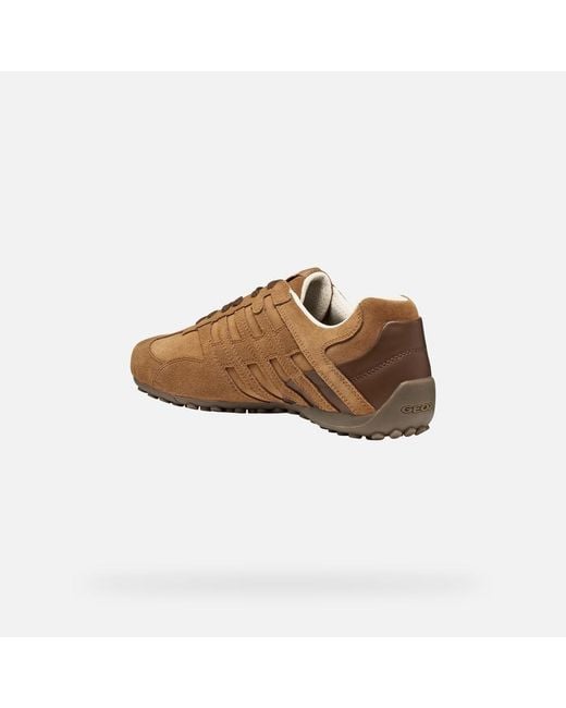 Geox Brown Snake for men