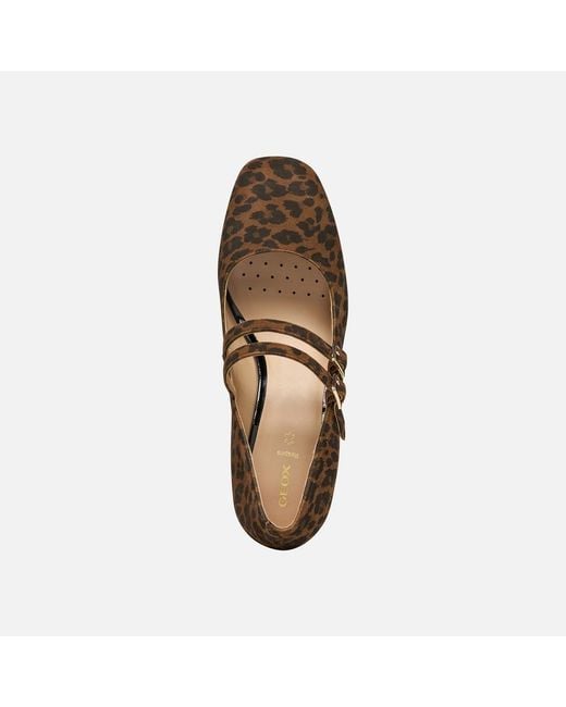 Geox Brown Kalidine
