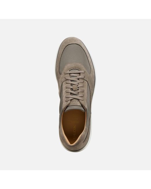 Geox Gray Spherica Ec12 for men