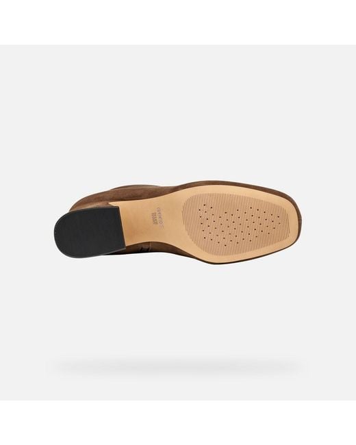 Geox Brown Kalidine