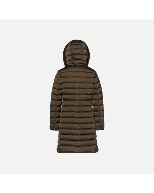 Geox Brown Bettanie