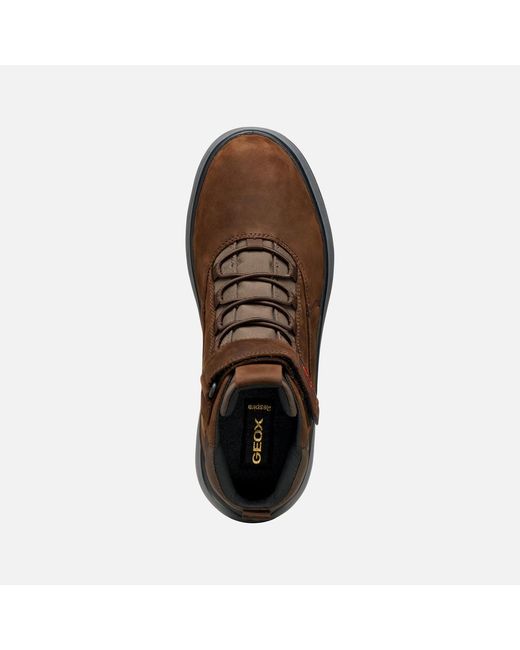 Granito + Grip Abx Homme Geox pour homme en coloris Brown