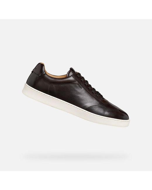 Geox Black Regio for men