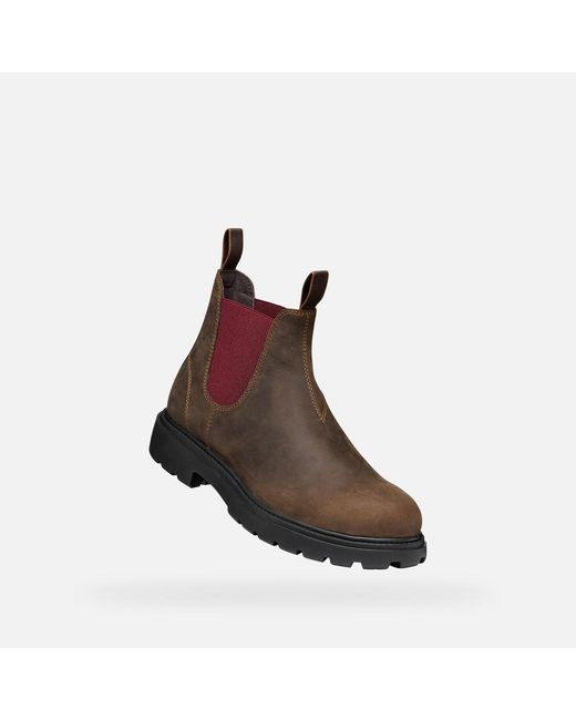 Geox Brown Spherica Ec7 B Coffee/Bordeaux for men