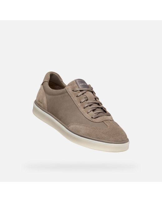 Geox Brown Spherica Actif X4 for men
