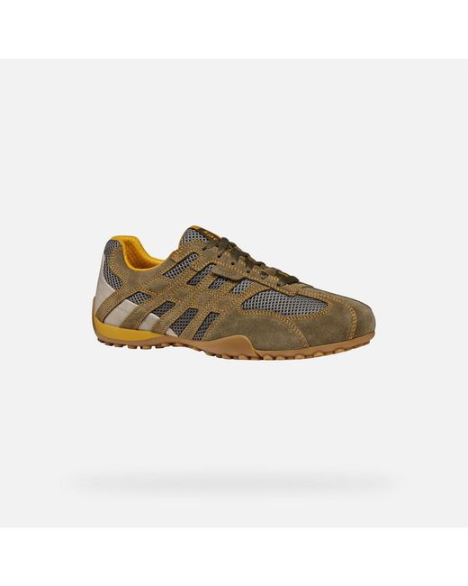 Geox Green Snake Original for men