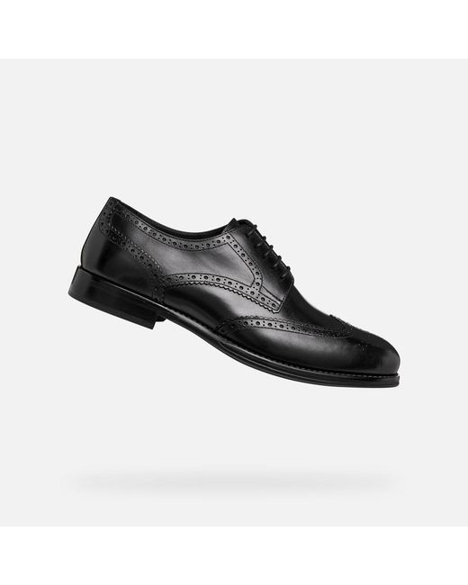 Geox Black Barberigo for men