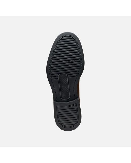 Geox Brown Capitale for men