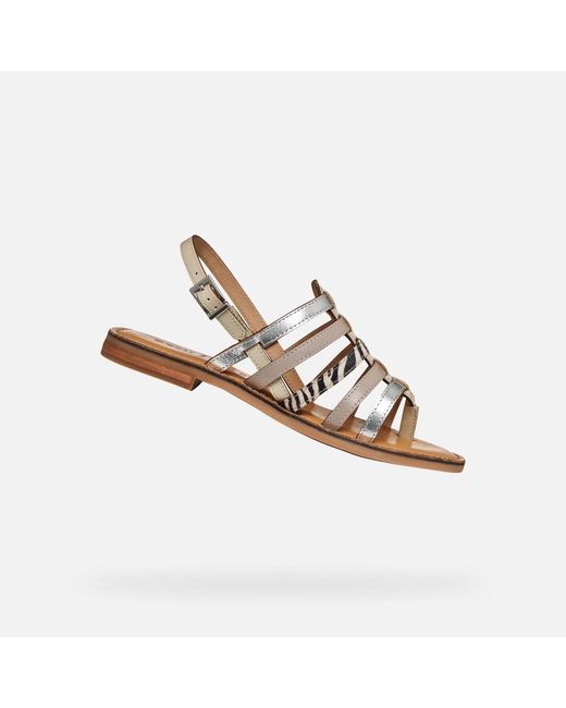 Geox Brown Maddalusia C