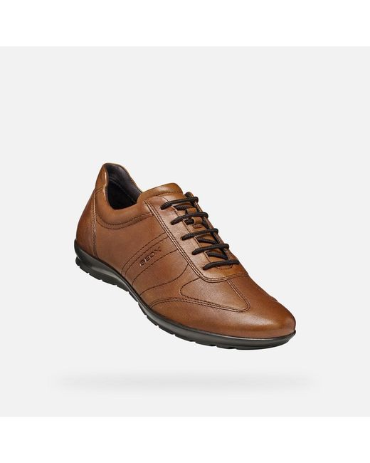 Geox Brown Symbol for men