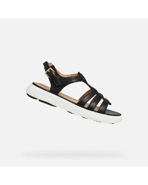 Geox Black Nebula 2.0 C S