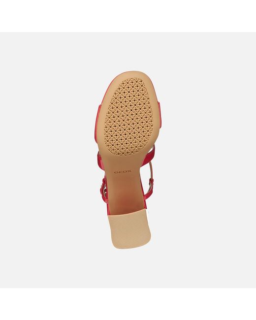 Geox Red New Eraklia 80 T01
