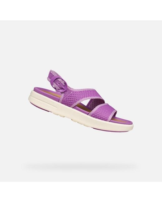 Geox Purple Climasandal Sprt
