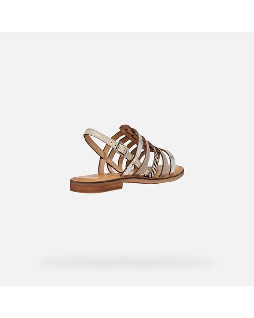 Geox Brown Maddalusia C