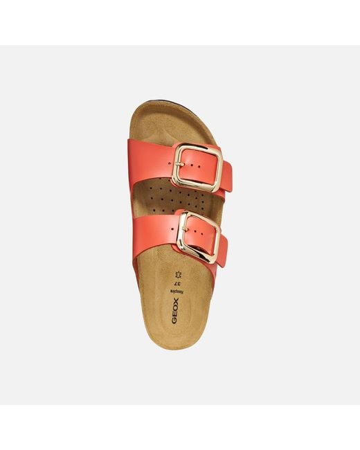 Geox Red Brionia R