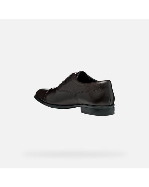 Geox Black Iacopo for men