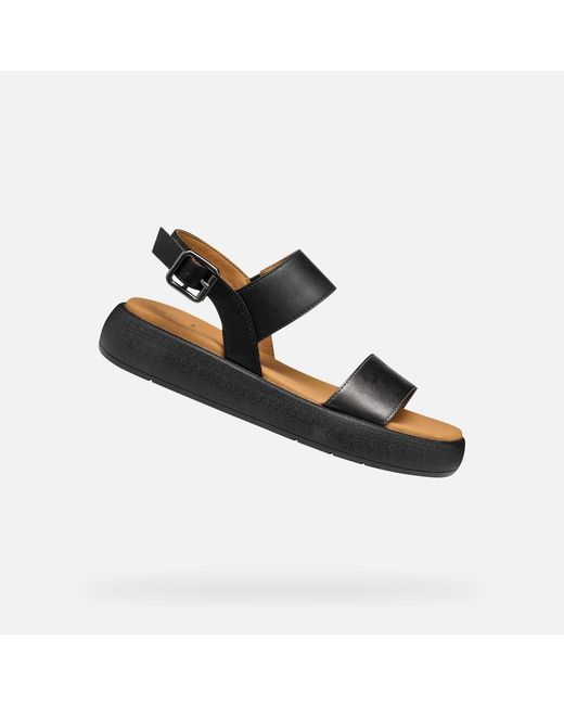 Geox Black Camalei