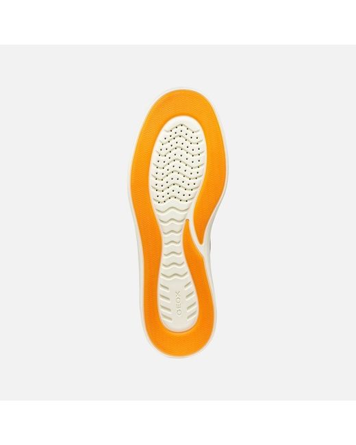 Geox Blue Baltmoore for men
