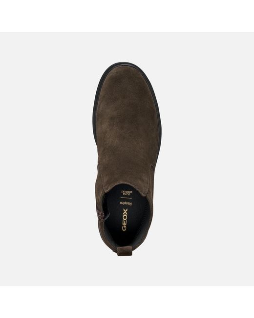 Geox Brown Spherica Ec1 Abx for men
