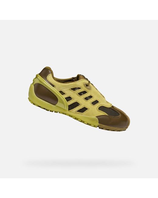 Geox Green Archive Snake