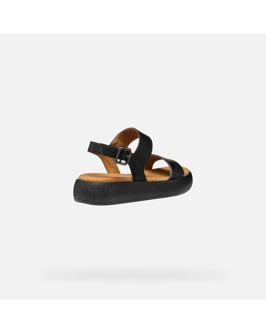 Geox Black Camalei