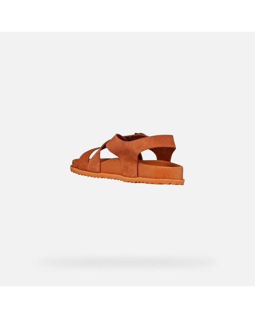 Geox Brown Sandybett