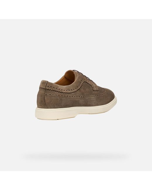 Geox Brown Spherica Ec17 for men