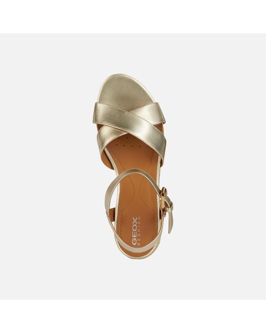 Geox Metallic Ischia Corda
