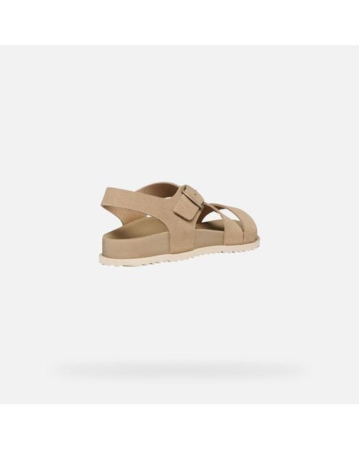 Geox Gray Sandybett