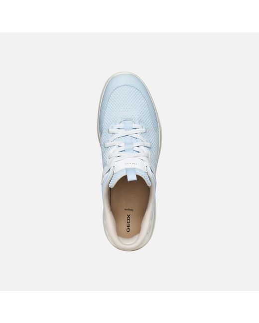 Geox Blue Plummery Plus