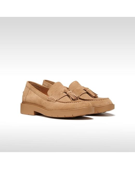 Geox Natural Spherica Ec1 B