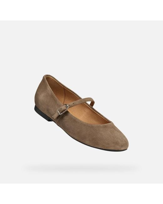 Geox Gray New Palmaria