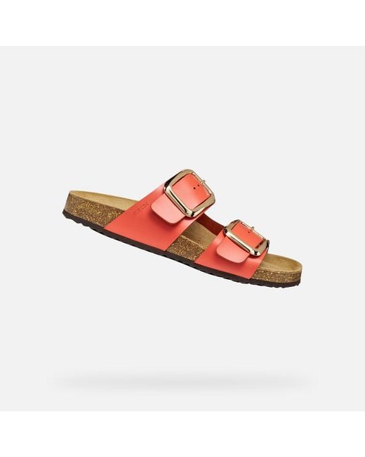Geox Red Brionia R