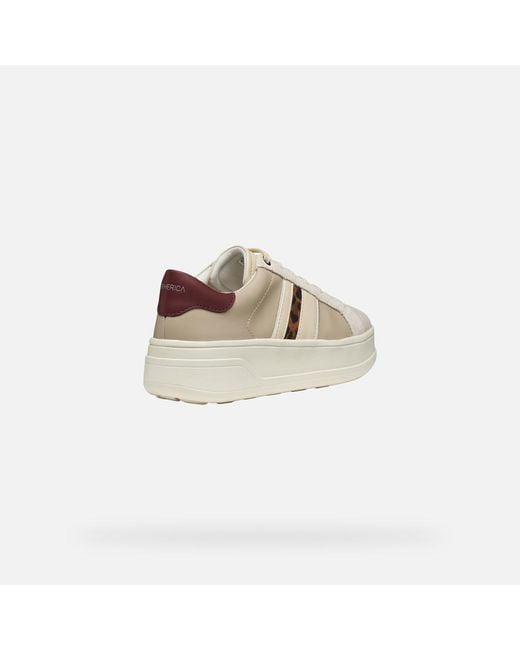 Scarpe Spherica Ecub-2 Donna di Geox in Natural