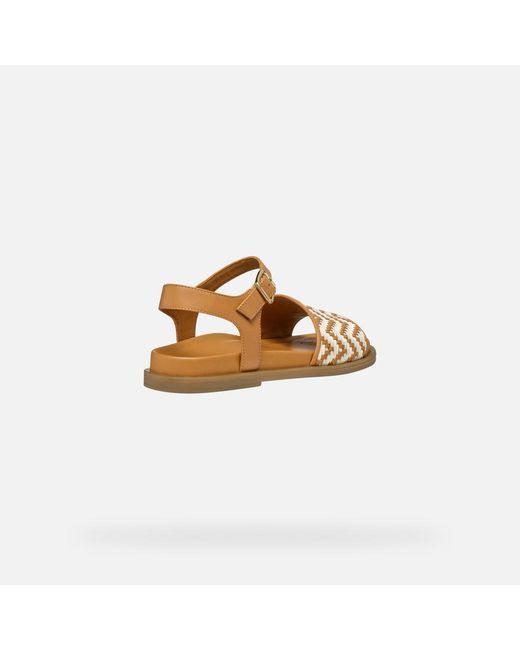 Geox Brown Adelash