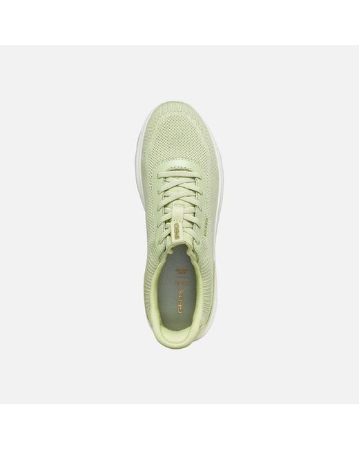 Geox Green Spherica Plus