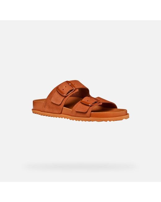 Geox Brown Sandybett
