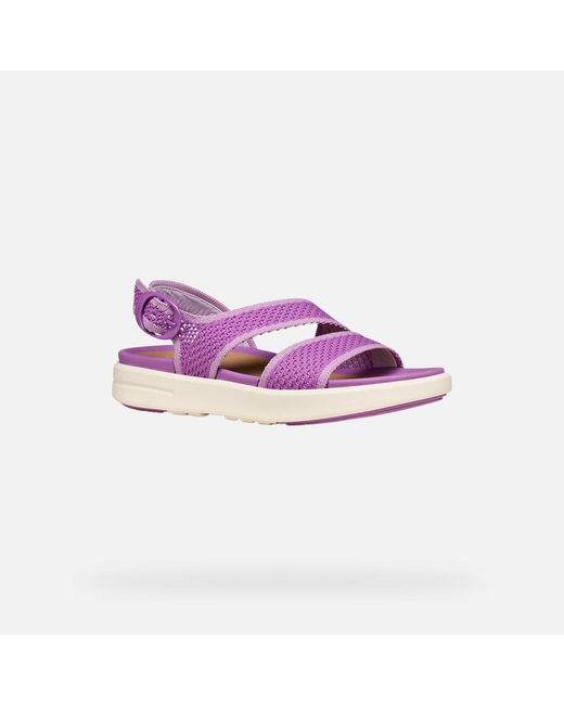 Geox Purple Climasandal Sprt
