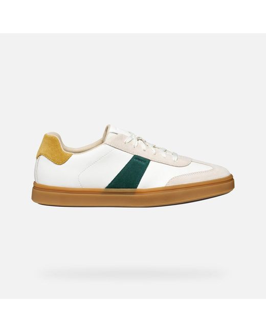Geox Multicolor Baltmoore for men