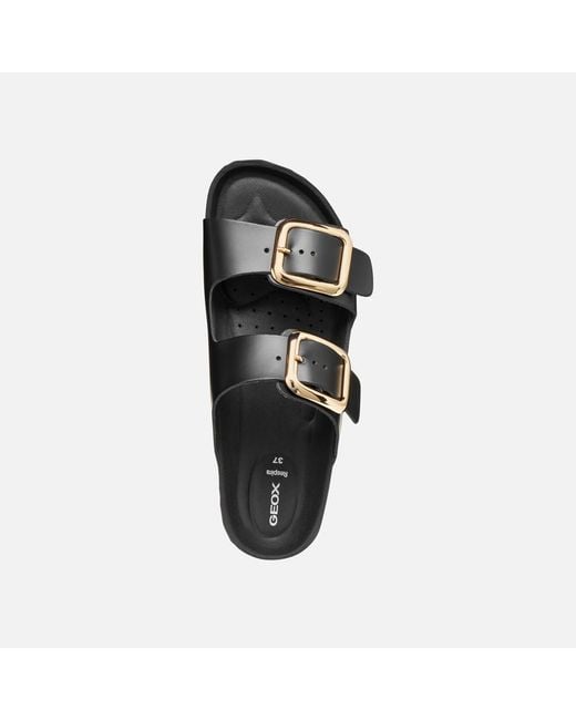 Geox Black Brionia R