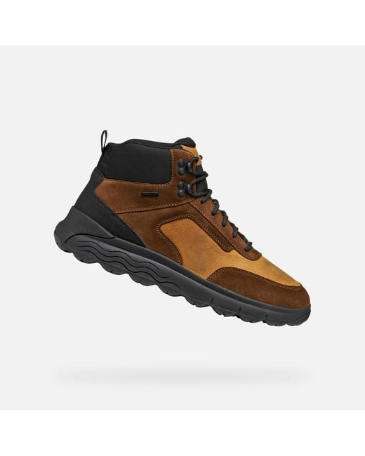 Scarpe Spherica 4X4 Abx Uomo di Geox in Brown da Uomo