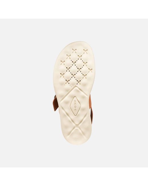 Geox Multicolor Xand 2S