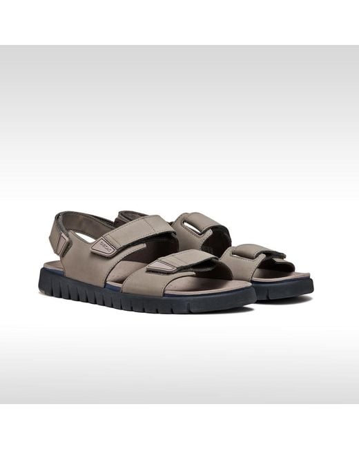 Geox Brown Flextride S for men