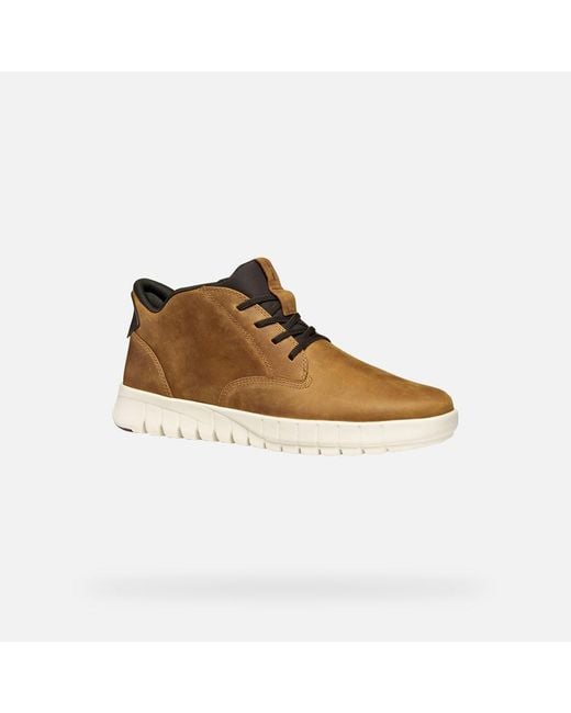 Flextride Plus Hombre Geox de hombre de color Brown