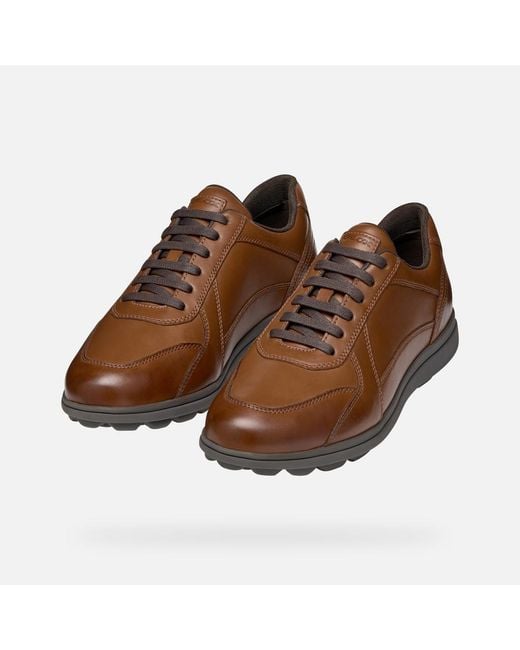 Geox Brown Spherica Ec12 for men
